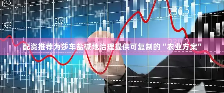 配资推荐为莎车盐碱地治理提供可复制的“农业方案”