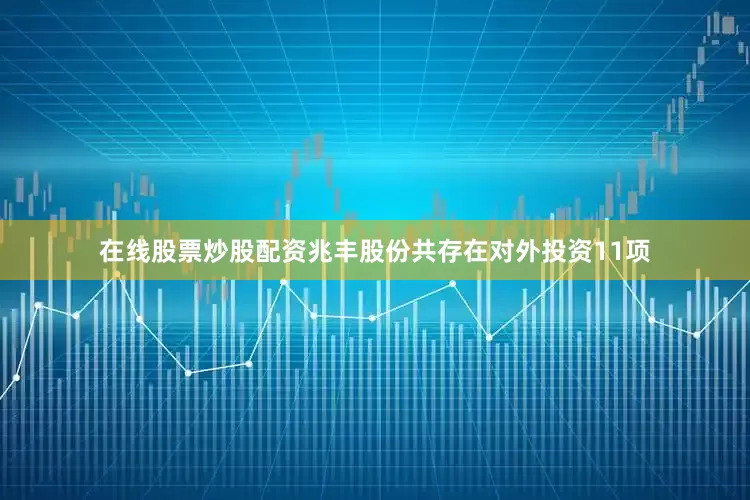 在线股票炒股配资兆丰股份共存在对外投资11项
