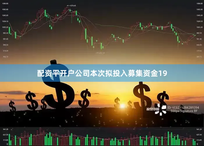 配资平开户公司本次拟投入募集资金19