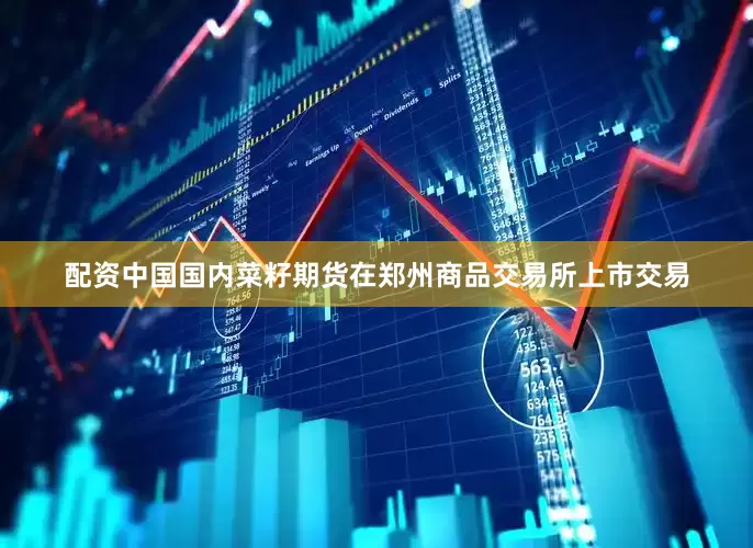 配资中国国内菜籽期货在郑州商品交易所上市交易