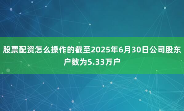股票配资怎么操作的截至2025年6月30日公司股东户数为5.33万户