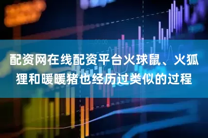 配资网在线配资平台火球鼠、火狐狸和暖暖猪也经历过类似的过程