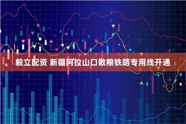 毅立配资 新疆阿拉山口散粮铁路专用线开通