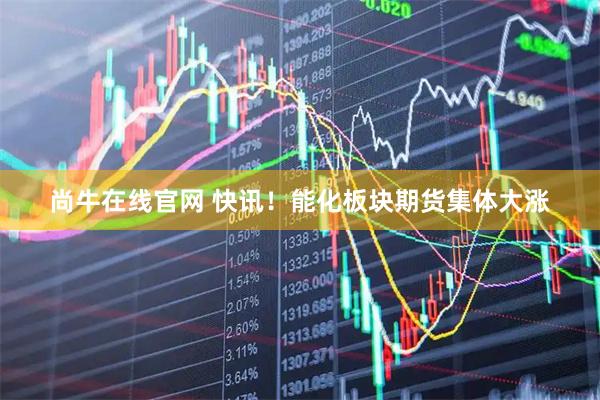 尚牛在线官网 快讯！能化板块期货集体大涨