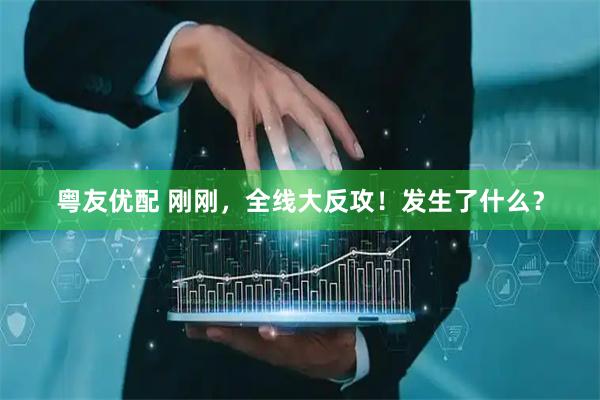 粤友优配 刚刚，全线大反攻！发生了什么？