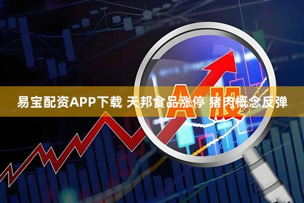 易宝配资APP下载 天邦食品涨停 猪肉概念反弹